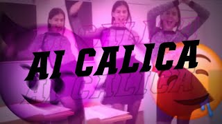 AI CALICA QUER DAR PROS AMIGUIN DA BOCA - TIK TOK CHALLENGE - MC Cyclope (DJ JT da Serra)