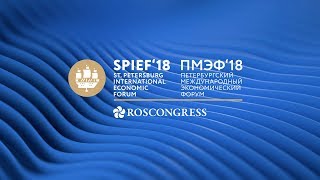 Пленарное заседание с участием Президента Российской Федерации В.В. Путина