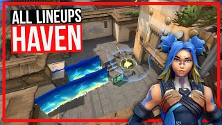 NEON HAVEN LINEUPS - STUNS, WALLS & RETAKES