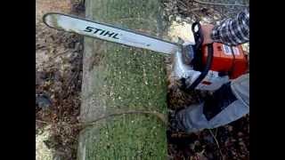 motosega stihl ms880 in taglio pioppo