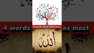 4 favorite words of Allah | #viral #shortsfeed #islam #shorts