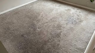 Calling all future carpet cleaners! Want to start a business in 2023 well watch this video