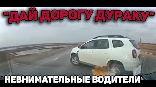 Автоподборка "Дай Дорогу Дураку"🚓Невнимательные Водители#417