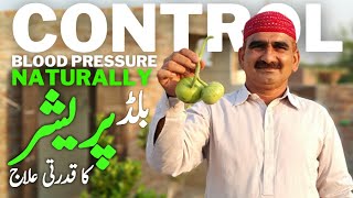 Blood Pressure بلڈ پریشر Control Karne Ka NATURAL Tarika - High Blood Pressure NORMAL Karne Ka Ilaj