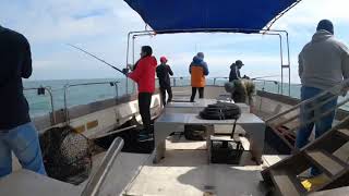 Howth Fishing | Dublin | Ireland