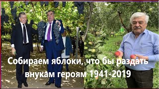 Собираем яблоки, что бы раздать внукам героям 1941-2019