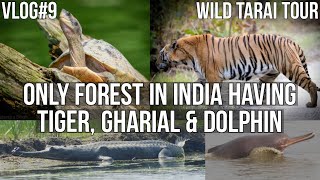 Katarniaghat - A unique jungle | Boat Safari | Forest Rest House tour | Gharial & Tiger sighting