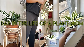 day in the life of a plant mom vlog | new plants, repotting, propagations, + watering