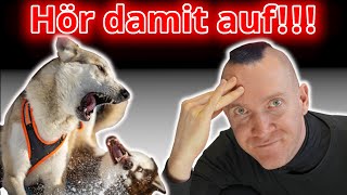 Der dümmste Fehler, den Du als Hundehalter nur machen kannst!