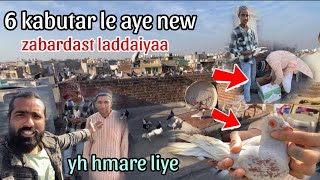 Lo bhai le aye 6 kabutar new. New pigeon. 😍 लो भाई देख लो न्यू पिजन।Zabardast ladaiyya goole ki