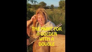 THE HUNT FOR A GOLDEN WITH A DOUBLE