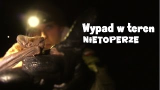 Wypad w teren - łowy na nietoperze / Wildlife hang out - bat hunting