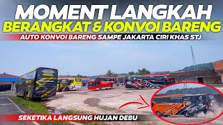 CIRI KHAS SUDIRO TUNGGA JAYA ❗🤩 SELALU KONVOI DAN BERANGKAT BARENG DENGAN REKAN SE STJ NYA