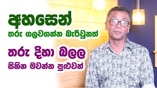 අහසෙන් තරු ගලවගන්න බැරිවුනත් , තරු දිහා බලලසිහින මවන්න පුළුවන්