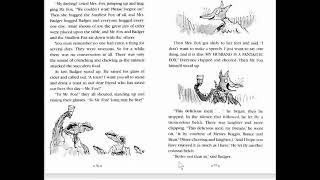 Fantastic Mr Fox by Roald Dahl, ch 16 and 17