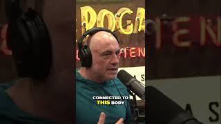 Locked Antlers: Terrible fate for two deers! Joe Rogan and Theo Von