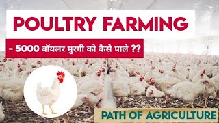 Poultry Farming | 5000 Broiler Chicken Farm Costing & How To Do ? Detail Information | Farm Visit.