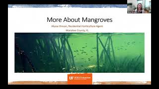 Mangroves