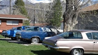 Three Plymouth Barracudas