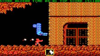 Ghosts'n Goblins Completed Hardest IBM PC