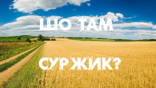 Російський суржик чи реґіональна норма? | Квантова філологія