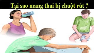 Bí mật tại sao chuột rút khi mang thai ở thời kỳ đầu thai kỳ ?