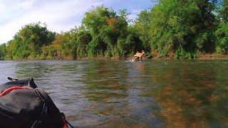 Deer Runs by Kayak