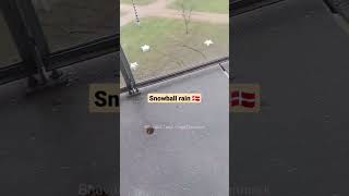 🇩🇰Denmark ல் Snowball rain #shorts #tamilvlog #bhuvanatamilvlogsdenmark #viral