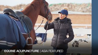 Acupuncture is helping race horses in China