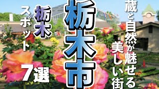 【栃木観光/グルメ】栃木市で観光とランチグルメが楽しめるスポット７選