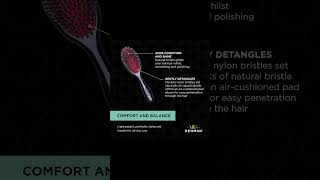 Denman Cushion Hair Brush#shortvideo