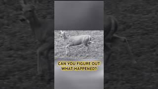 Look closely!   Something crazy happened! #deerhunting #hunting #deer