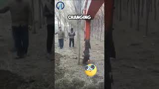 Innovative Tree Cutting Machine 🤣 #shorts #shortvideo #funny