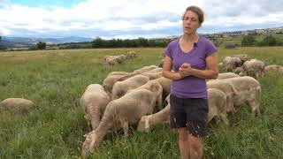 Ferme des Lacaunes