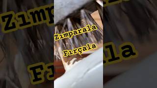 Fırçala, zımparala…  #tamirat #onarım #zımpara #masa #bakım #bakımonarım