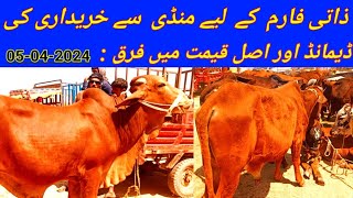 Zati Farm k Liay Mundi say Purchasing || Demand itni aur sale rate itna down