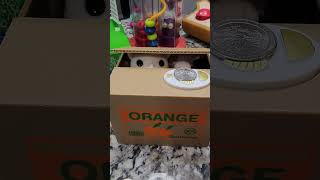 🍊🍊🍊 BOX 📦 ORANGE KITTY COIN BANK! #shortvideo #shorts #viral #trending