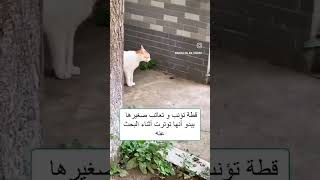 سبحان الله الام هي الأم مهما كانت 💚