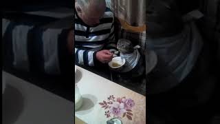 Lustige Videos. Katzenfutter. Корм для кошек. Cat food