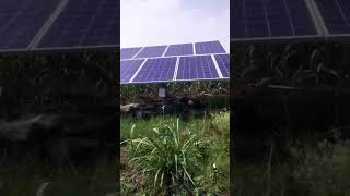 ⏩️Best solar water pump discharge💯||Water pump 170 feet depth||solar dc pump||