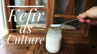 Using Kefir as Culture- Our Attempt at Natural Cheesemaking