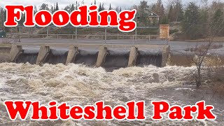 Whiteshell Flooding Spring 2022 - Travels with Bill