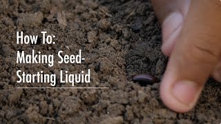 A Nourishing Recipe to Boost Seedling Growth