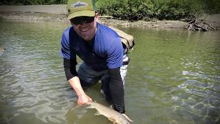 UNBC's Luc Turcotte wins scholarship from Freshwater Fisheries Society of BC