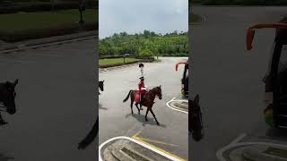 #malaysia #kualalumpur #horse #soldier  #guard #cavaliers