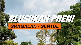 Explore Desa Sewurejo (Gragalan Sentul)