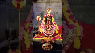 Live Darshan of Mahadev | Om Siva Sambhu | Sri Kasi Vishwanath Sivan Temple |Vandalur chennai