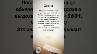 (Во время питья из какого-нибудь) сосуда Посланник Аллаха ﷺ обычно делал три вдоха и выдоха #хадис