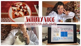 Quarantena con Perni | Weekly vlog 23/29 marzo 2020 | Collab. Camilla Pistorello | Pernilla Iperti