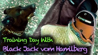 IPO Schutzhund Training Day With Black Jack vom Hamilberg